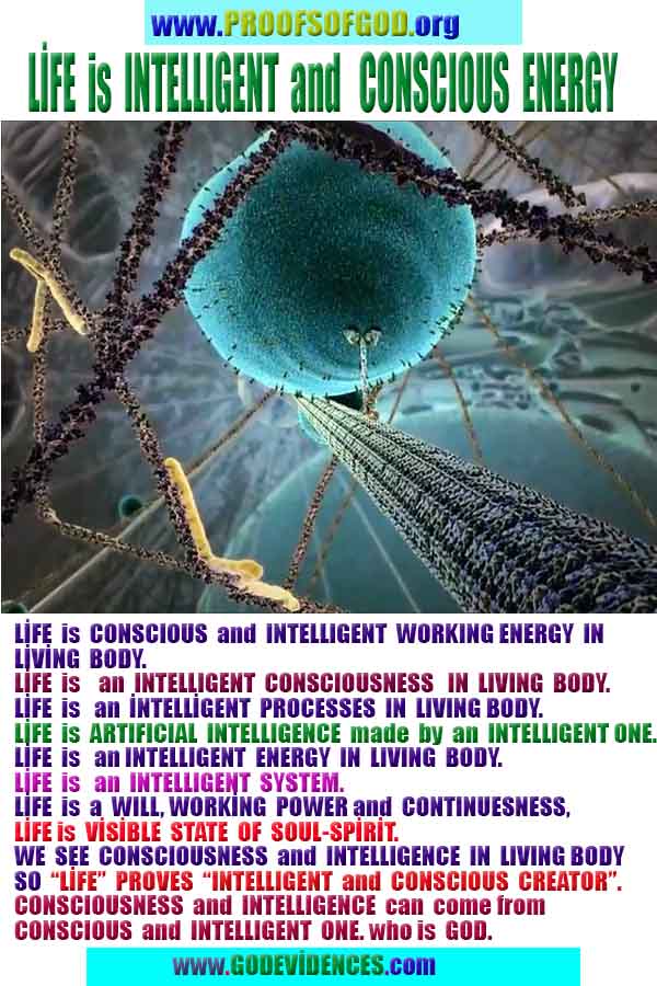 Proofs of Creator God