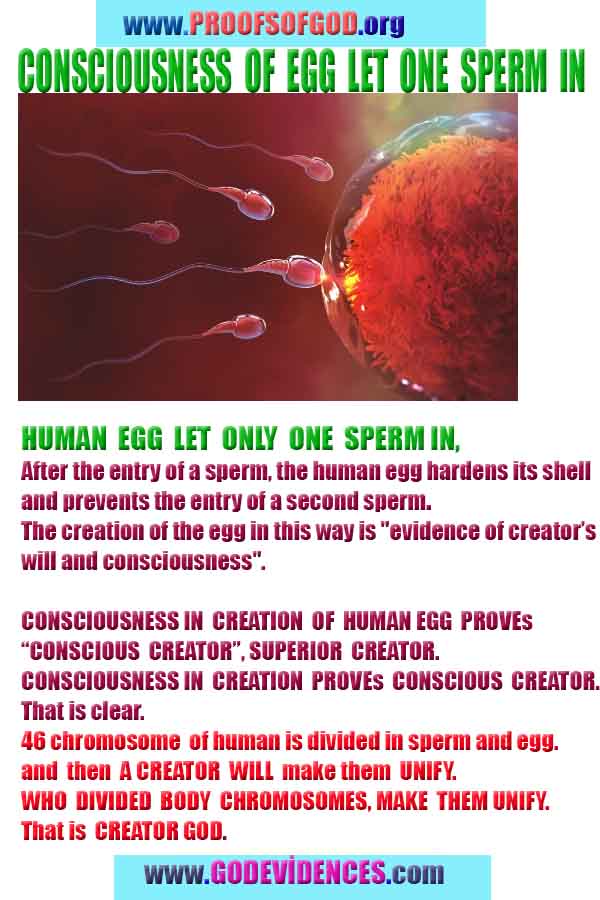 Proofs of Creator God