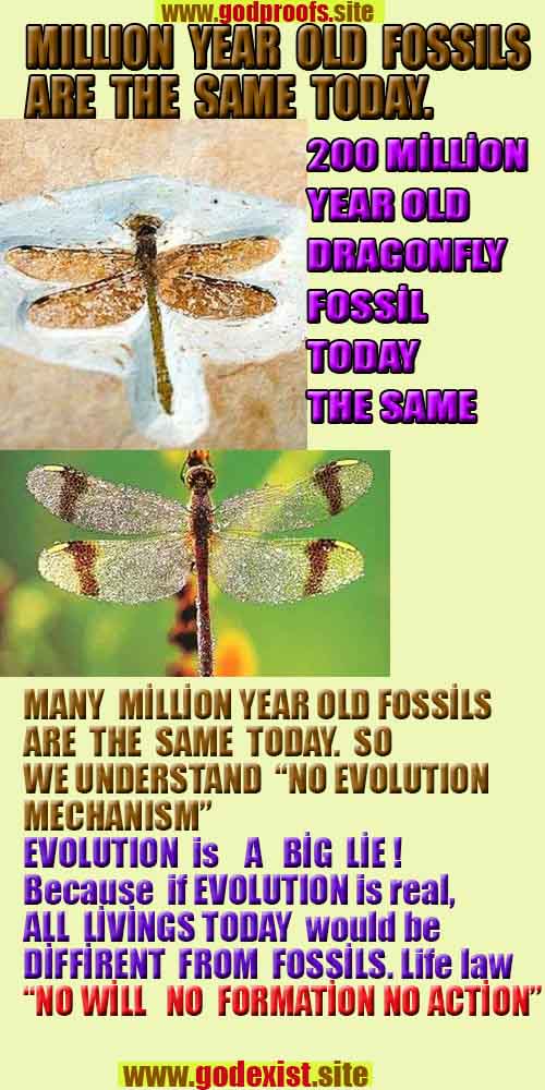 god proofs  god is real,