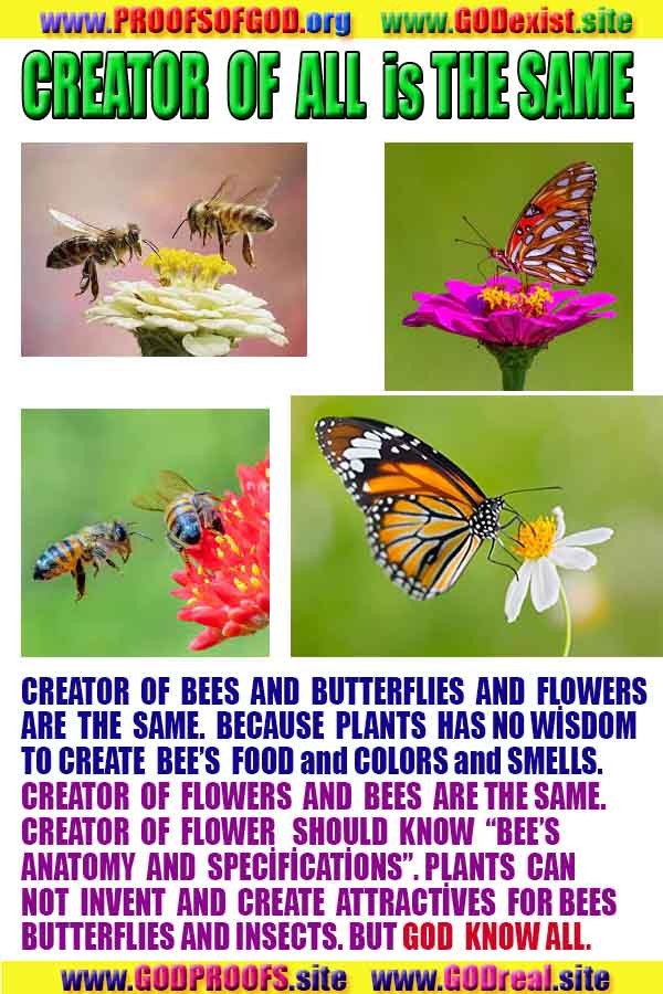 Proofs of Creator God